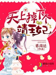 天上掉下个靖王爷